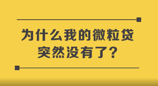 付费视频-微粒贷怎么突然没有了!微粒贷不见了怎么回事儿(附视频教程)
