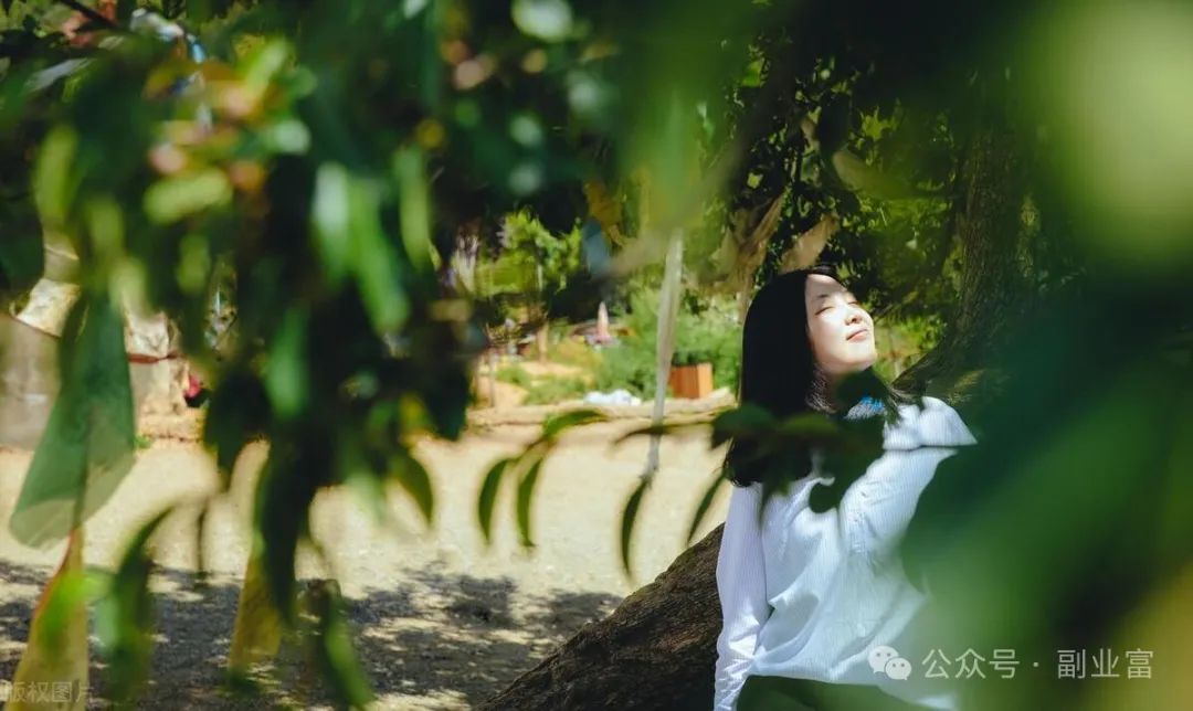 我26岁,不上班依旧有收入,全靠这5个赚钱副业带来的!